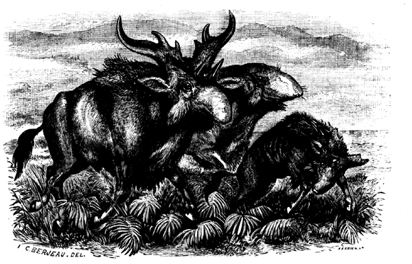 Sivatherium Giganteum.