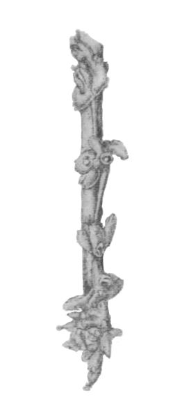 Illustration: Fig. 45.—Zoarium of Stolella indica on stem of water-plant (from Calcutta), × 6.