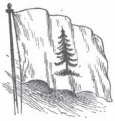 THE PINE TREE FLAG.