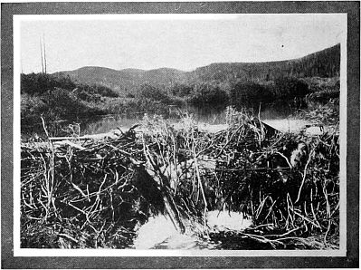 Beaver Dam and Reservoir