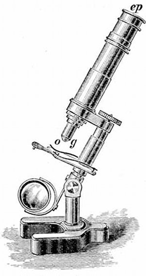 Fig. 14.  Student's microscope. ep, Eye-piece, o, g, Object-glass.