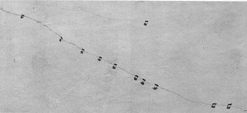 Figure 4.—An important technique used in the study involved aerial tracking and observing of wolf packs. (Photo courtesy of L. D. Frenzel.)