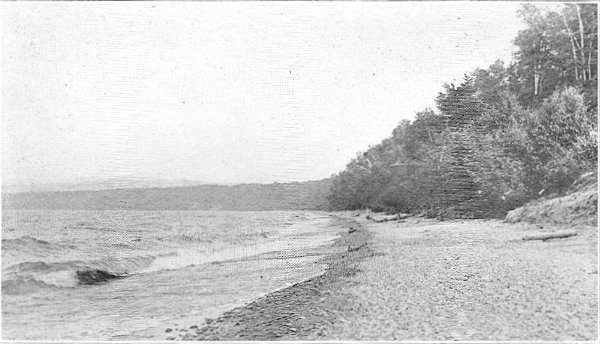 Fig. 1. Beach of Lake Superior just east of Little Girl's Point. A dirt bluff at the right of the picture. August 10, 1920.