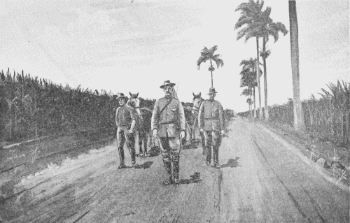 RETURN ALONG THE ROAD FROM GUAYAMA TO PONCE.