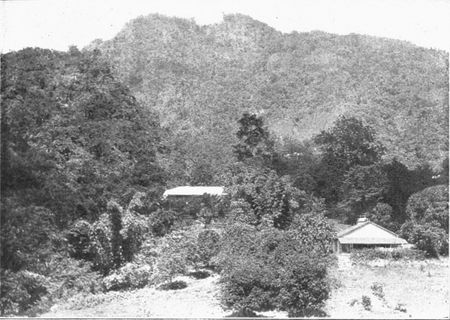 BUXA DUAR. My bungalow in the foreground; the Officers' Mess among the trees.