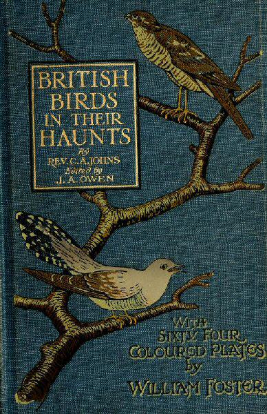 The Project Gutenberg eBook of British Birds In Their Haunts, by REV. C. A.  Johns, F.L.S.