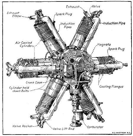 Fig. 194