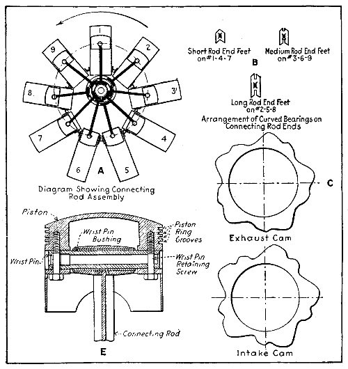 Fig. 219