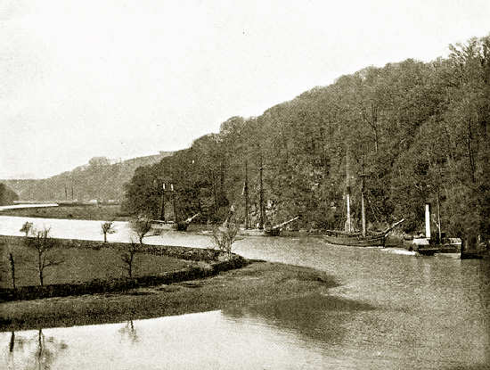 The Tamar, near Calstock