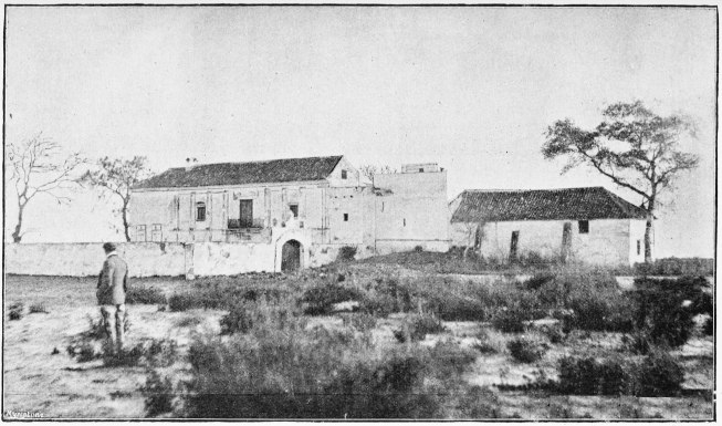 Plate XL.  PALACIO DE DOÑANA.  Page 350.