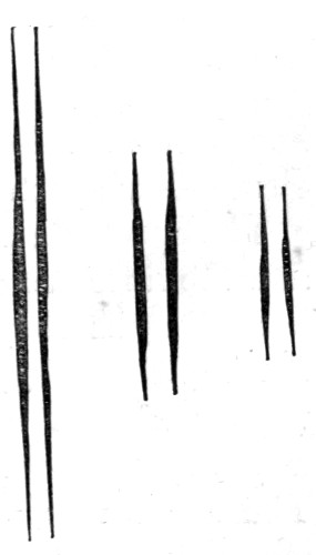 Fig. 7.—Long and short lines of sodium.