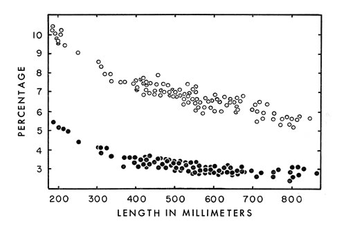 Fig. 6. Head length ( ? ) and head width ( ? )