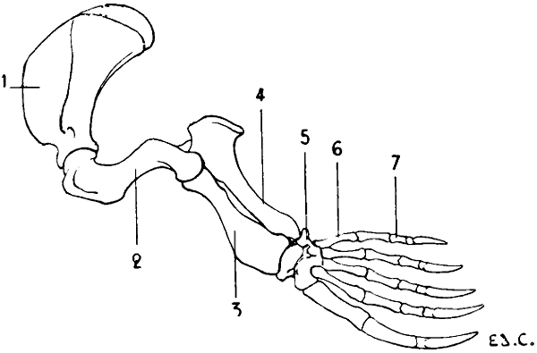 Fig. 9