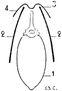 Fig. 15