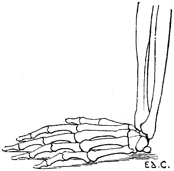 Fig. 22