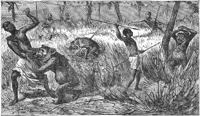 NATIVES HUNTING SOKOS