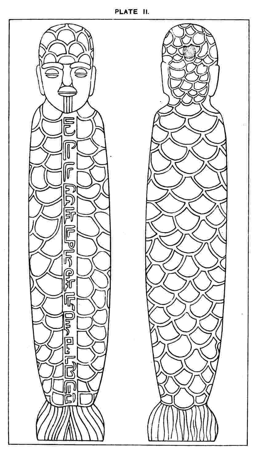 Plate II 054 