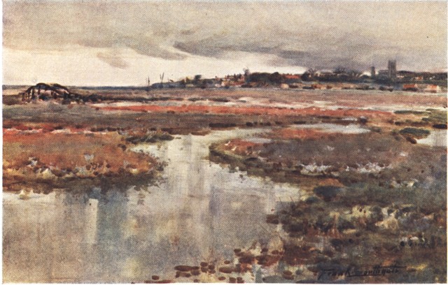 BLAKENEY—A CHARACTERISTIC LANDSCAPE