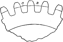 Fig. 113