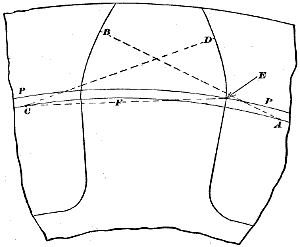 Fig. 129