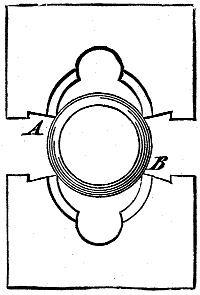 Fig. 304