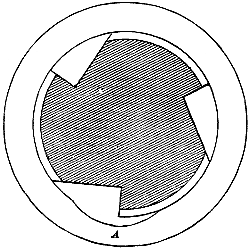 Fig. 342