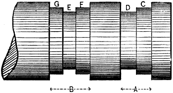 Fig. 1293