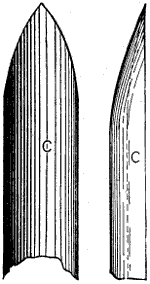 Fig. 1763