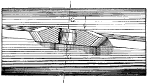 Fig. 1969