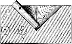 Fig. 2025 bottom