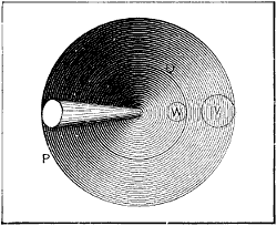 Fig. 2026 top