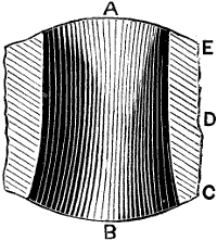 Fig. 2100