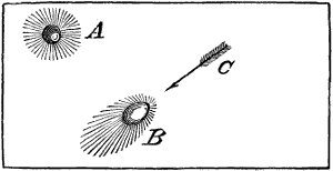 Fig. 2117