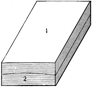 Fig. 2443