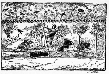 La culture de la vigne, d'après une fresque de l'an 300 environ.