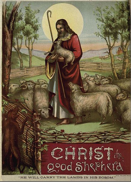 Christ the Shepherd