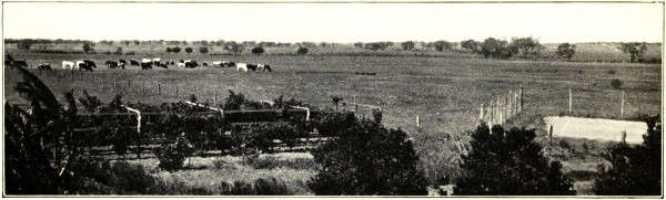 BARCALDINE DOWNS HOMESTEAD, CENTRAL QUEENSLAND