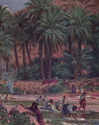 Illustration: Among all trees, one is blessed like the Mussulman,  'tis the palm, said the Prophet.