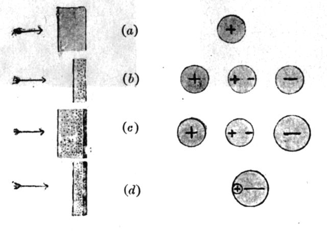 Fig. 144.