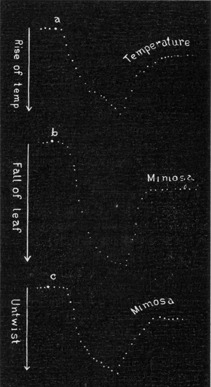 Fig. 187.