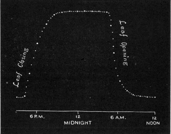 Fig. 192.