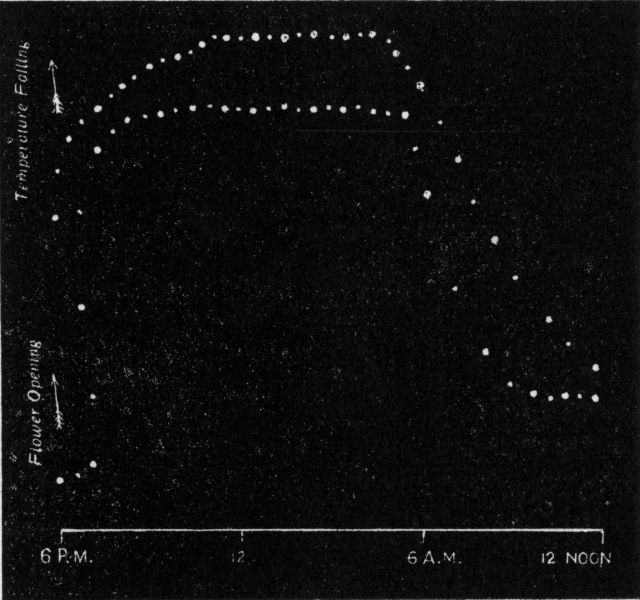 Fig. 198.