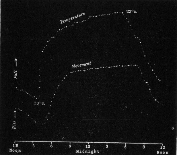 Fig. 199.