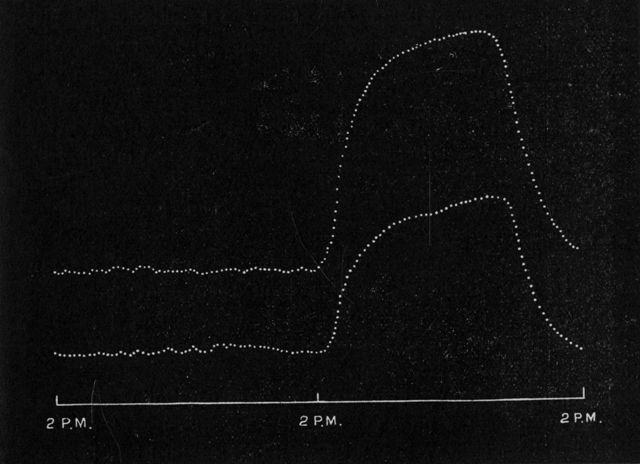 Fig. 203.