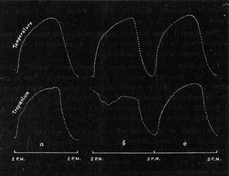 Fig. 204.