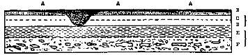 [Illustration: Section of the strata exhibited in the cliffs of the ninety feet plain at Port S. Julian.]