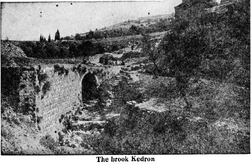 brook bottom photo