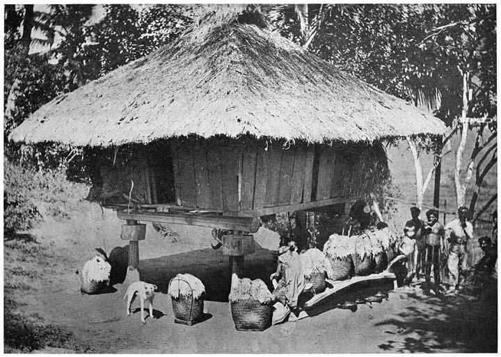 Preparation for Ifugao hagabi Ceremony