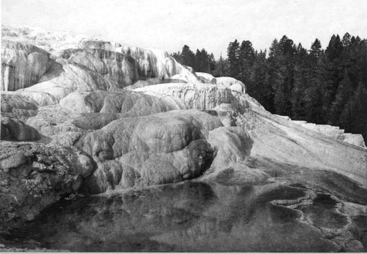 Mammoth Hot Springs