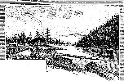 River logging operation; felled, stacked, and floating logs; pole barn; small log cabin.